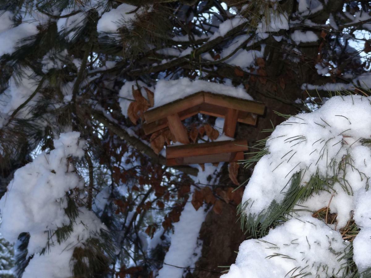 Bed and Breakfast La Fermette Blanche Nadrin Экстерьер фото